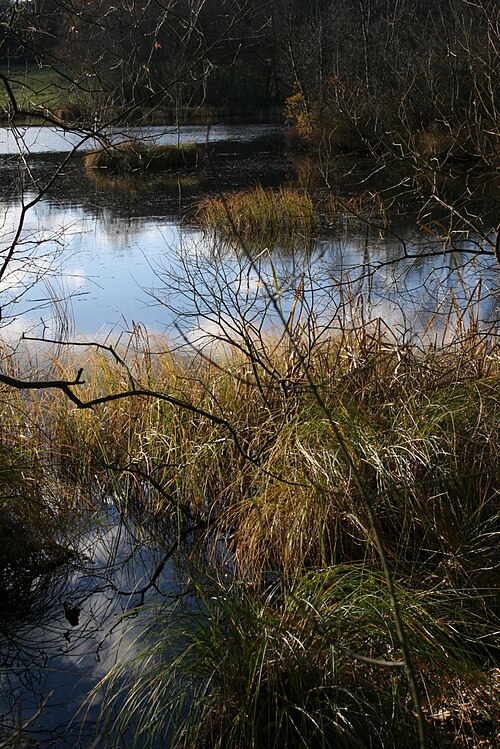 Skjern Handbold