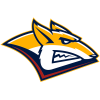 Metallurg
