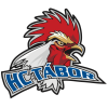 Hockey Club Tabor
