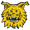 Ilves 🇫🇮